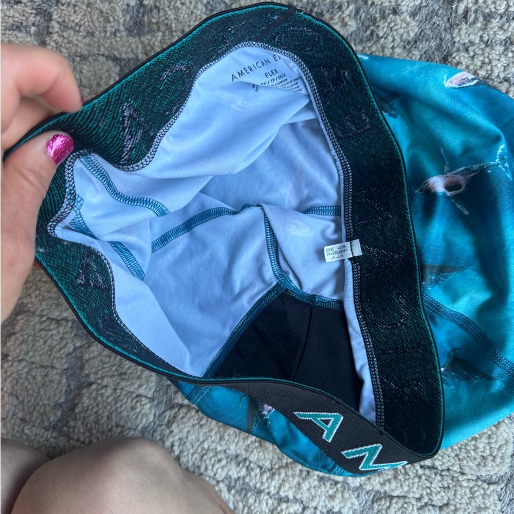 NWOT American Eagle Outfitters Teal Humpback Whale -Print Boxer Briefs - Picture 5 of 6